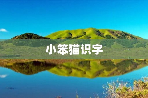 小笨猫识字:启蒙教育的必备工具 小笨猫识字:启蒙教育的必备工具