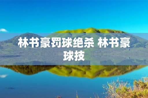 林书豪罚球绝杀 林书豪球技