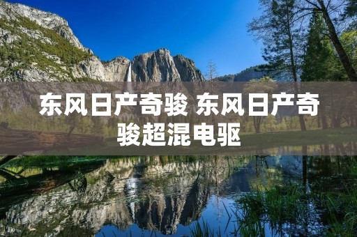 东风日产奇骏 东风日产奇骏超混电驱 东风日产奇骏 东风日产奇骏超混电驱