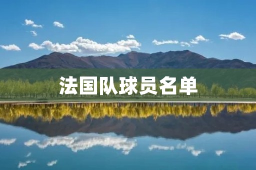 法国队球员名单:世界杯夺冠阵容揭晓