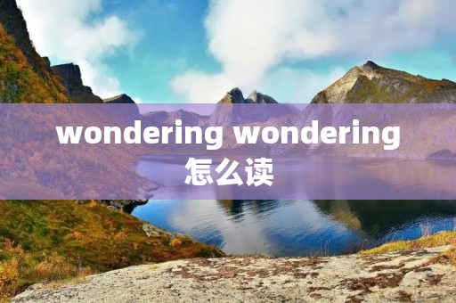 wondering wondering怎么读