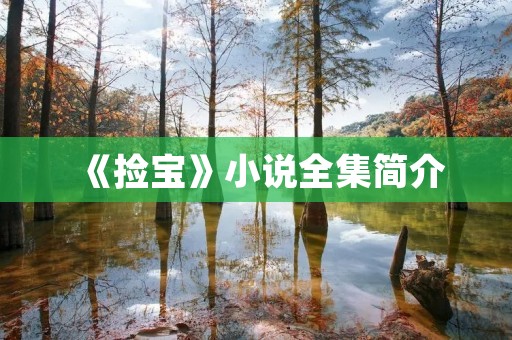 《捡宝》小说全集简介 《捡宝》小说全集简介
