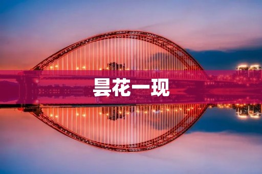 昙花一现：一场美丽而短暂的奇迹