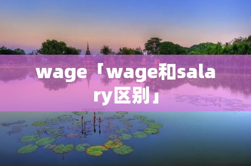 wage「wage和salary区别」