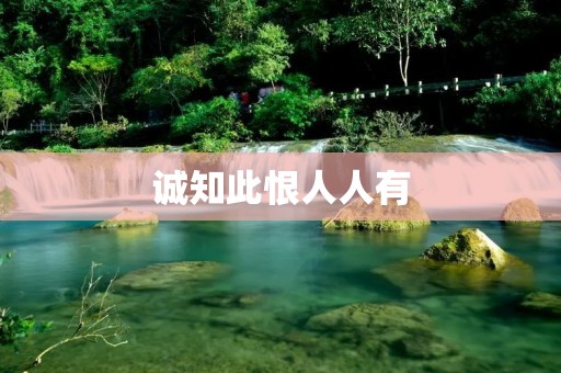 诚知此恨人人有:探寻人类共同的痛苦与悲伤 诚知此恨人人有:探寻人类共同的痛苦与悲伤