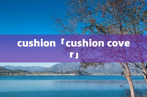 cushion「cushion cover」