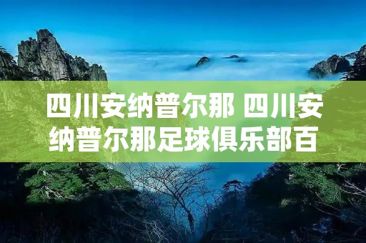四川安纳普尔那 四川安纳普尔那足球俱乐部百科