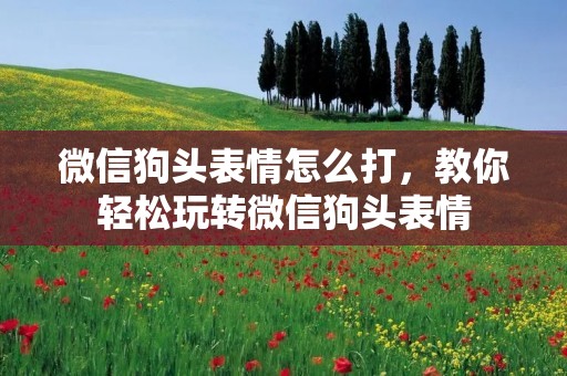 微信狗头表情怎么打,教你轻松玩转微信狗头表情