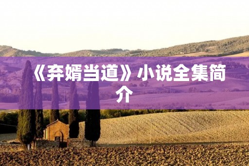 《弃婿当道》小说全集简介