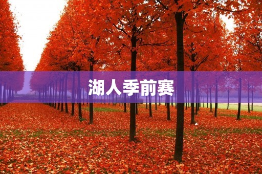 湖人季前赛:新赛季的起航之旅 湖人季前赛:新赛季的起航之旅