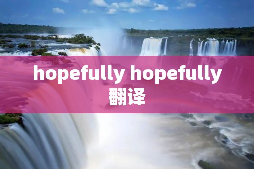 hopefully hopefully翻译
