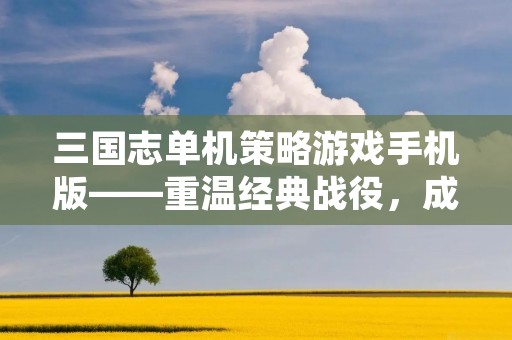 三国志单机策略游戏手机版——重温经典战役,成就一代名将! 三国志单机策略游戏手机版——重温经典战役,成就一代名将!