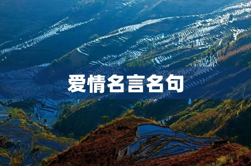 爱情名言名句:引领爱情旅程的智慧之光