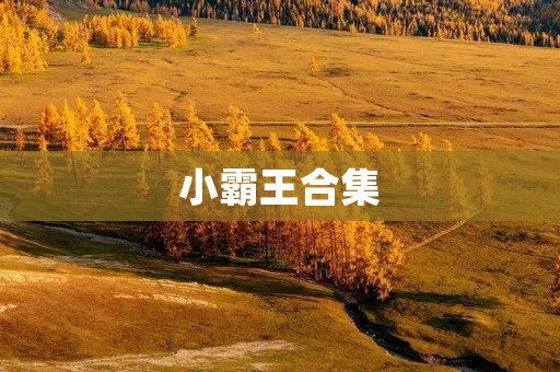 小霸王合集：回忆经典，重温童年