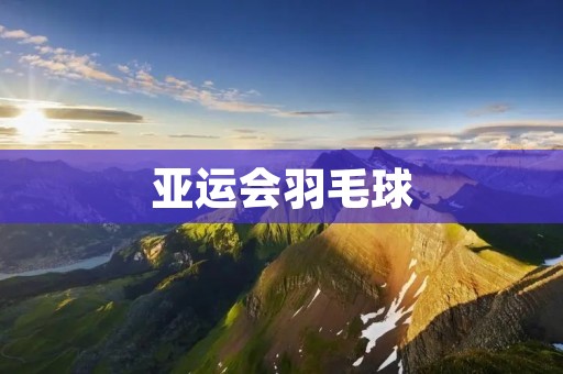 亚运会羽毛球:亚洲顶级羽毛球比赛的舞台 亚运会羽毛球:亚洲顶级羽毛球比赛的舞台
