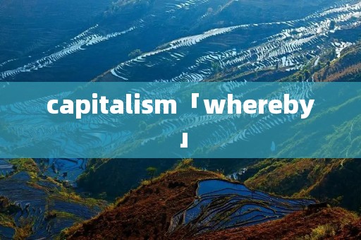 capitalism「whereby」
