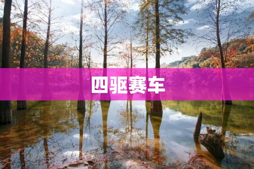 四驱赛车:体验速度与**的极致之旅 四驱赛车:体验速度与**的极致之旅