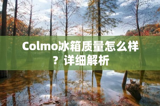 Colmo冰箱质量怎么样？详细解析