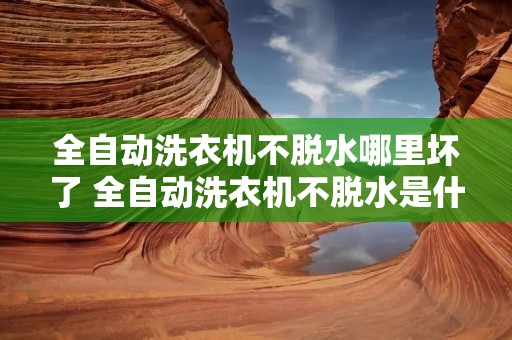 全自动洗衣机不脱水哪里坏了 全自动洗衣机不脱水是什么故障