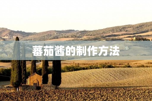 蕃茄酱的制作方法