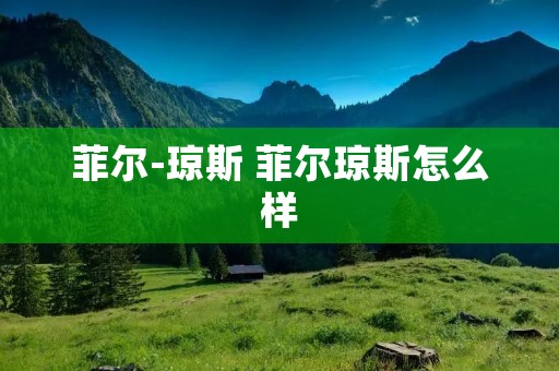 菲尔-琼斯 菲尔琼斯怎么样