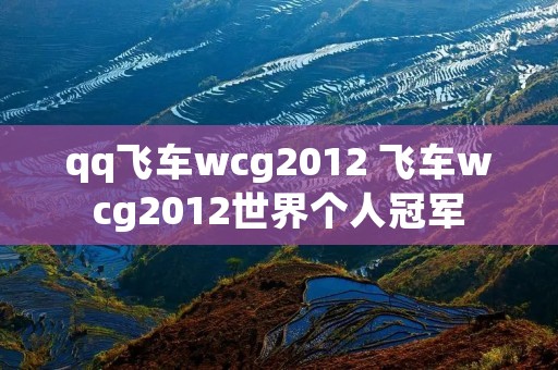 qq飞车wcg2012 飞车wcg2012世界个人冠军 qq飞车wcg2012 飞车wcg2012世界个人冠军
