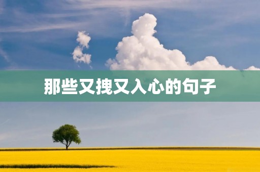 那些又拽又入心的句子：看完让你一遍遍回味