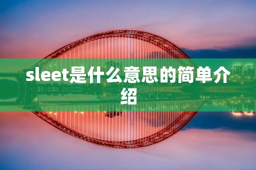 sleet是什么意思的简单介绍