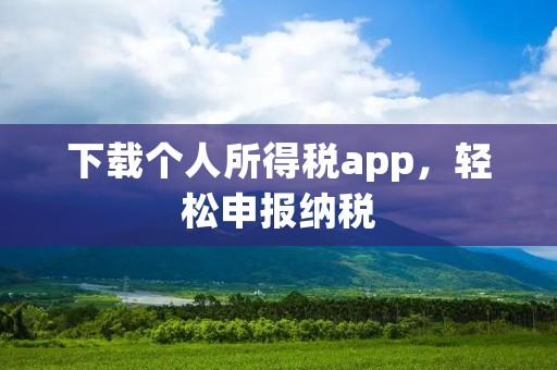 下载个人所得税app，轻松申报纳税