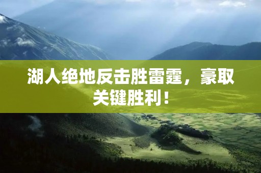 湖人绝地反击胜雷霆,豪取关键胜利! 湖人绝地反击胜雷霆,豪取关键胜利!