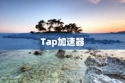 Tap加速器:让你的网络速度飞起来! Tap加速器:让你的网络速度飞起来!