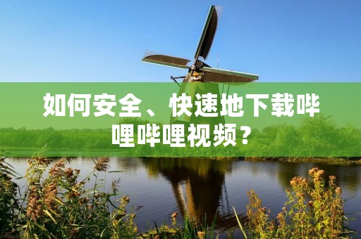 如何安全、快速地下载哔哩哔哩视频？