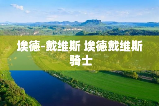 埃德-戴维斯 埃德戴维斯 骑士