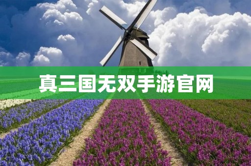 真三国无双手游官网:官方正版,最新版本下载,游戏攻略和福利活动