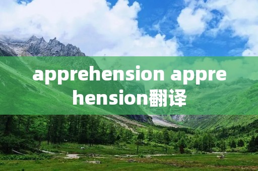 apprehension apprehension翻译