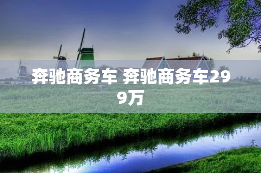 奔驰商务车 奔驰商务车299万 奔驰商务车 奔驰商务车299万