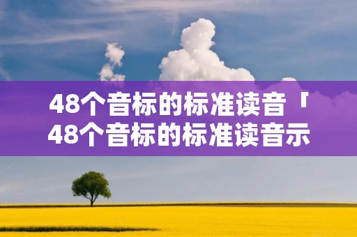 48个音标的标准读音「48个音标的标准读音示范视频」