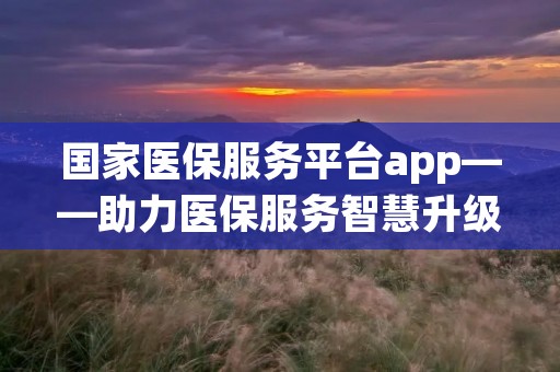 国家医保服务平台app——助力医保服务智慧升级