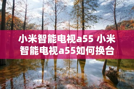 小米智能电视a55 小米智能电视a55如何换台 小米智能电视a55 小米智能电视a55如何换台