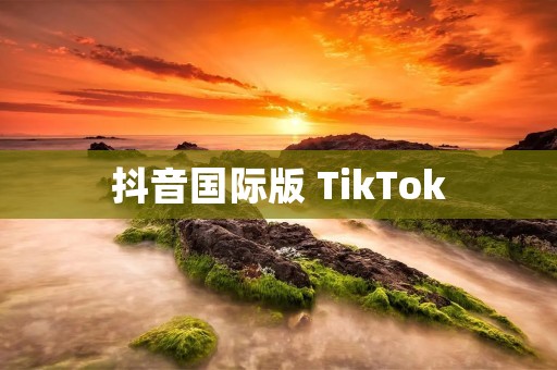 抖音国际版 TikTok:全球热门短视频平台 抖音国际版 TikTok:全球热门短视频平台