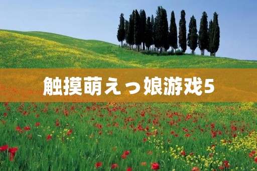 触摸萌えっ娘游戏5：萌萌哒的互动体验