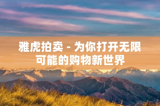 雅虎拍卖 - 为你打开无限可能的购物新世界