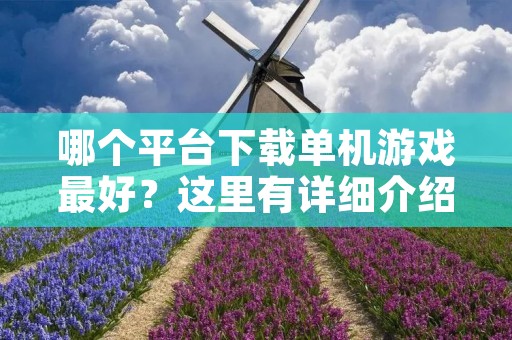 哪个平台下载单机游戏最好？这里有详细介绍！