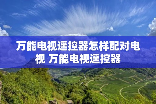 万能电视遥控器怎样配对电视 万能电视遥控器 万能电视遥控器怎样配对电视 万能电视遥控器