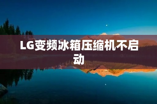 LG变频冰箱压缩机不启动：原因与解决方法