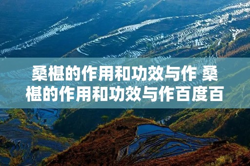 桑椹的作用和功效与作 桑椹的作用和功效与作百度百科