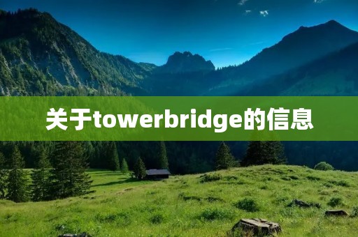 关于towerbridge的信息 关于towerbridge的信息