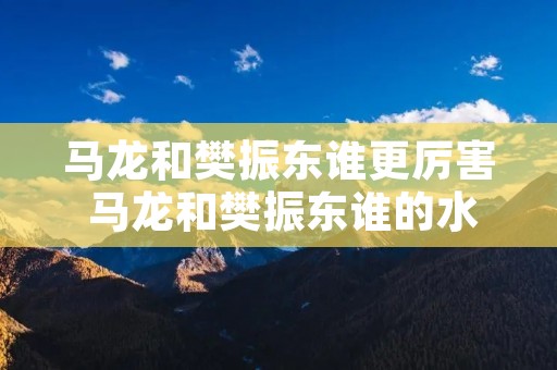 马龙和樊振东谁更厉害 马龙和樊振东谁的水平高