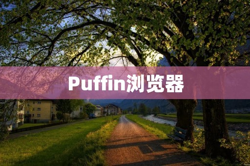 Puffin浏览器:高速、安全、便捷的移动浏览器 Puffin浏览器:高速、安全、便捷的移动浏览器