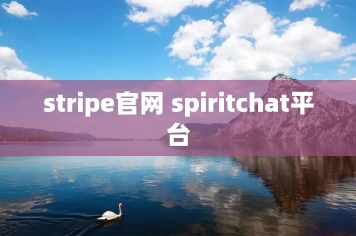 stripe官网 spiritchat平台